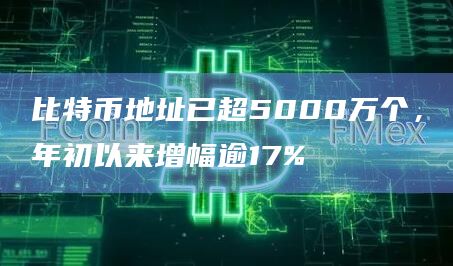 比特币地址已超5000万个，年初以来增幅逾17%