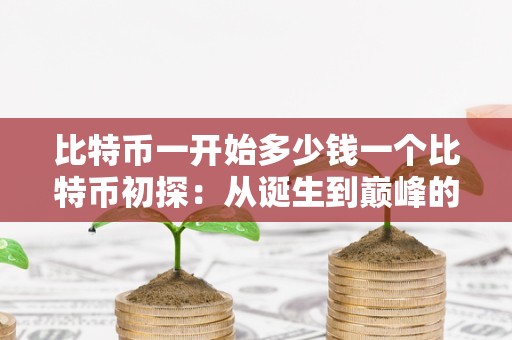 比特币发行价多少钱?