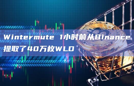 Wintermute 1小时前从Binance提取了40万枚WLD