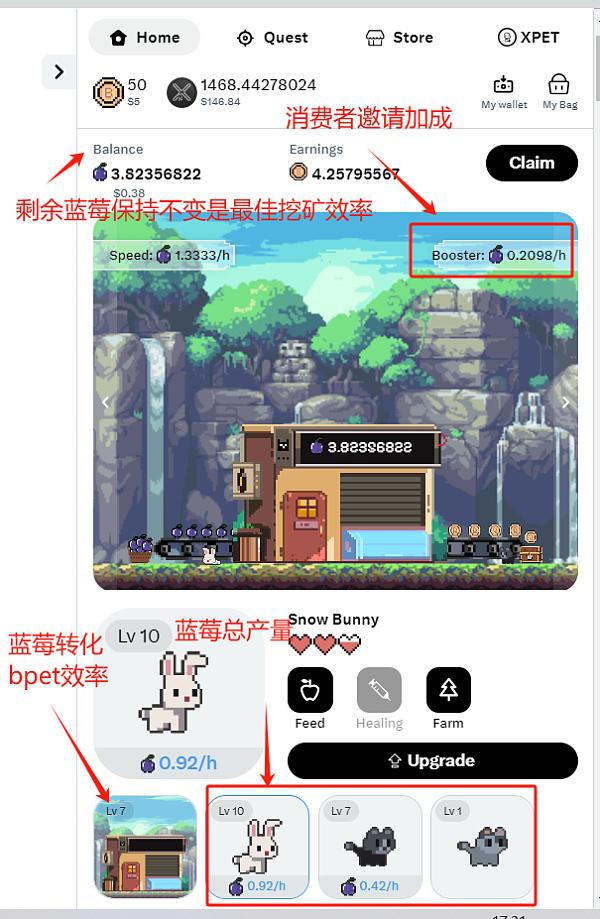 SocialFi 新贵 xPet: 离伟大临门一脚