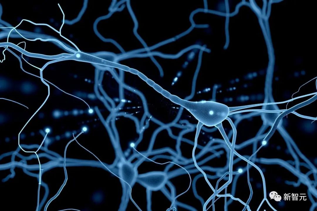 仿人脑神经开发AI，剑桥大学最新研究登Nature子刊，人造大脑成AI新方向