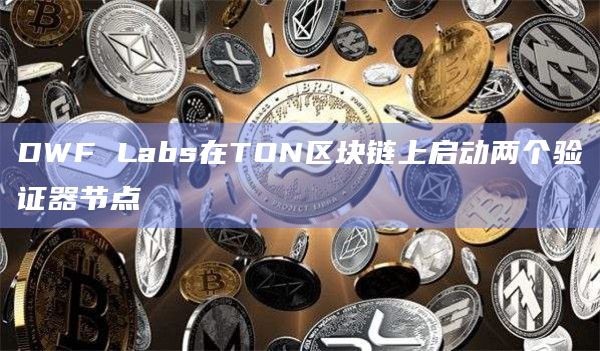 DWF Labs在TON区块链上启动两个验证器节点