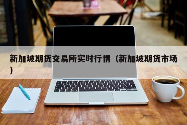 新加坡期货交易所实时行情(新加坡期货市场)