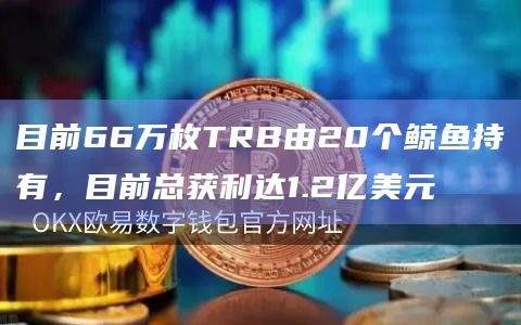 目前66万枚TRB由20个鲸鱼持有,目前总获利达1.2亿美元