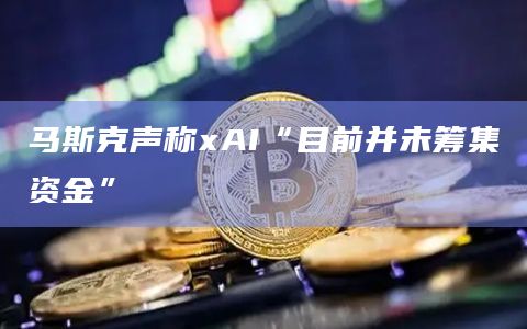 马斯克声称xAI“目前并未筹集资金”