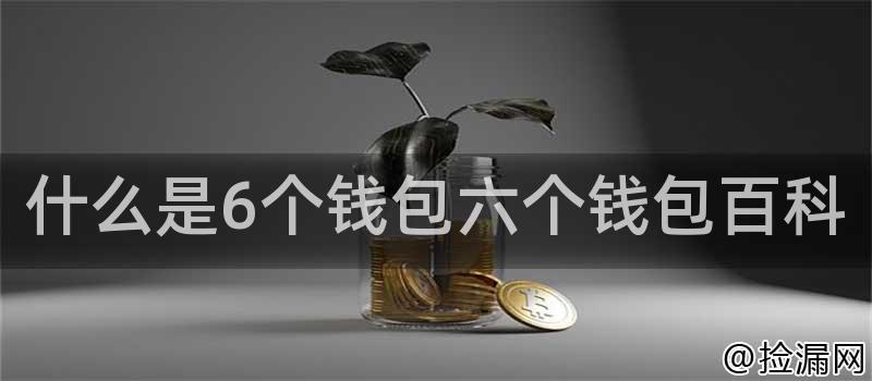 6个钱包是什么？