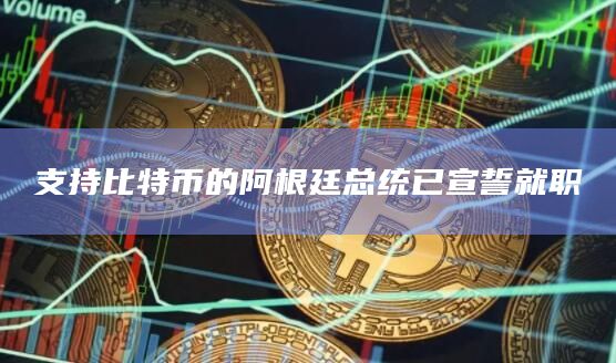 支持比特币的阿根廷总统已宣誓就职
