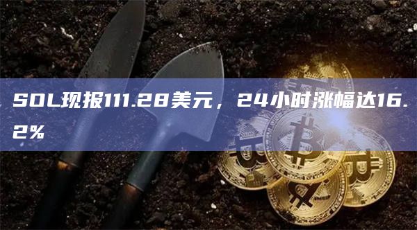 SOL现报115美元