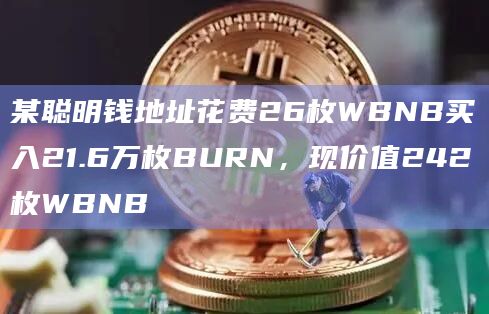 某聪明钱地址花费26枚WBNB买入21.6万枚BURN，现价值242枚WBNB