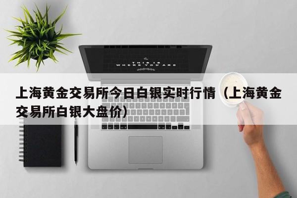 上海黄金交易所今日白银实时行情(上海黄金交易所白银大盘价)