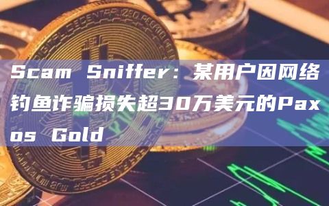Scam Sniffer：某用户因网络钓鱼诈骗损失超30万美元的Paxos Gold