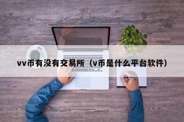 vv币有没有交易所（v币是什么平台软件）
