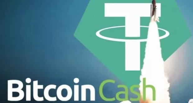 usdt官方版钱包app usdt钱包官方2023极速版免费下载安装