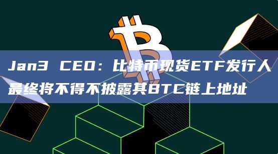 Jan3 CEO：比特币现货ETF发行人最终将不得不披露其BTC链上地址