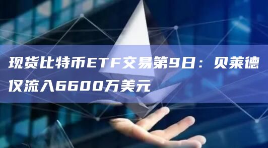现货比特币ETF交易第9日:贝莱德仅流入6600万美元 现货比特币ETF交易第9日:贝莱德仅流入6600万美元