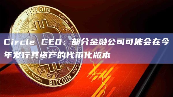 Circle CEO：部分金融公司可能会在今年发行其资产的代币化版本