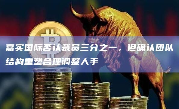 嘉实国际否认裁员三分之一,但确认团队结构重塑合理调整人手 嘉实国际否认裁员三分之一,但确认团队结构重塑合理调整人手