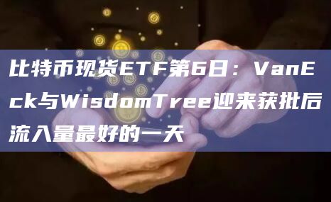 比特币现货ETFVanEck与WisdomTree迎来获批后流入量最好的一天