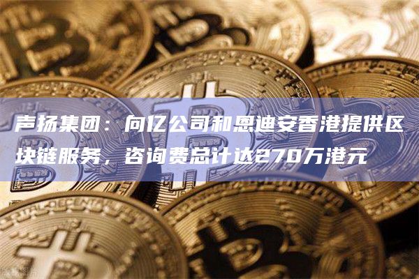 声扬集团:向亿公司和恩迪安香港提供区块链服务,咨询费总计达270万港元