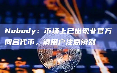Nobody：市场上已出现非官方同名代币，请用户注意辨别
