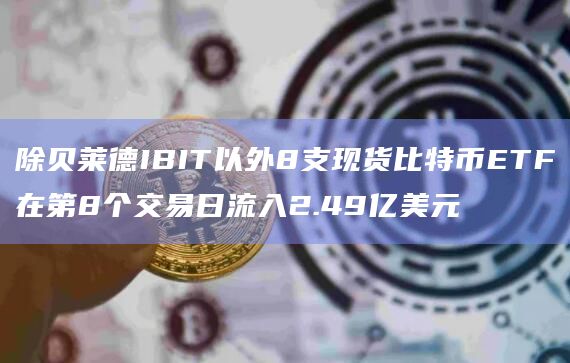 除贝莱德IBIT以外8支现货比特币ETF在第8个交易日流入2.49亿美元