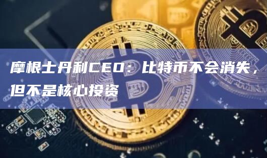 摩根士丹利CEO：比特币不会消失，但不是核心投资