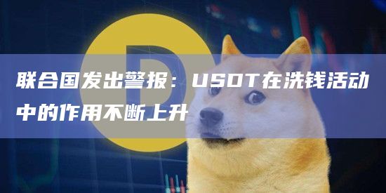 联合国发出警报:USDT在洗钱活动中的作用不断上升