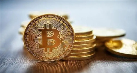 Solana链上狗狗模因币发酵