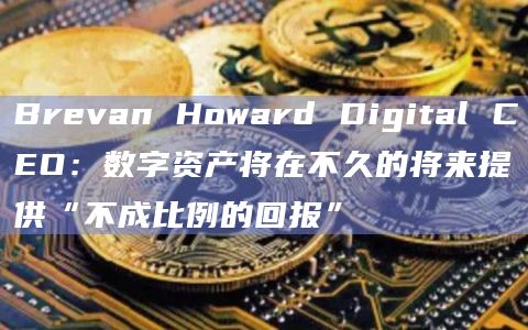 Brevan Howard Digital CEO：数字资产将在不久的将来提供“不成比例的回报”