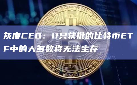 灰度CEO：11只获批的比特币ETF中的大多数将无法生存