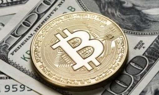bitcoin钱包手机版下载 bitcoin钱包最新移动版免费下载安装