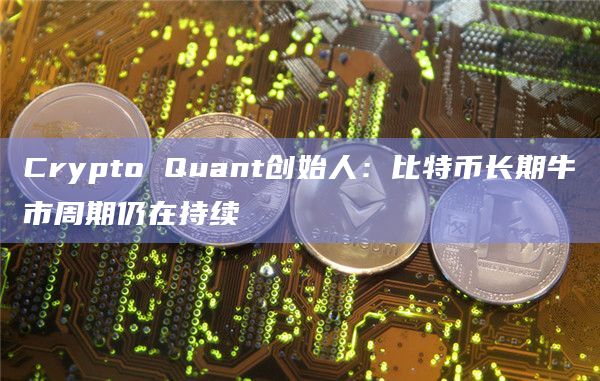 Crypto Quant创始人：比特币长期牛市周期仍在持续