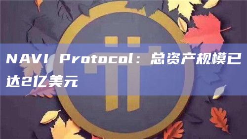 NAVI Protocol总资产市场规模（含借款）已达2亿美元