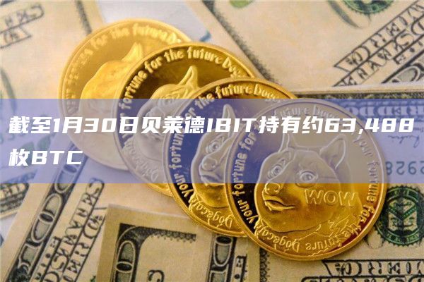 截至1月30日贝莱德IBIT持有约63,488枚BTC