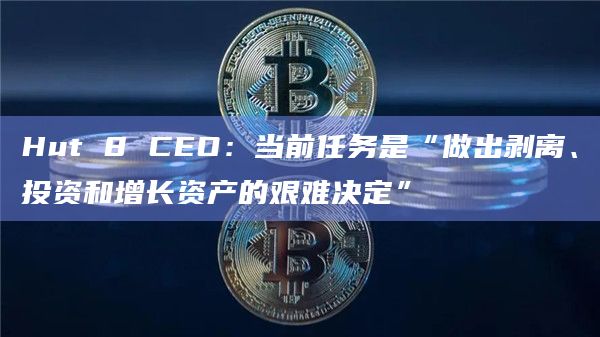 Hut 8 CEO：当前任务是“做出剥离、投资和增长资产的艰难决定”