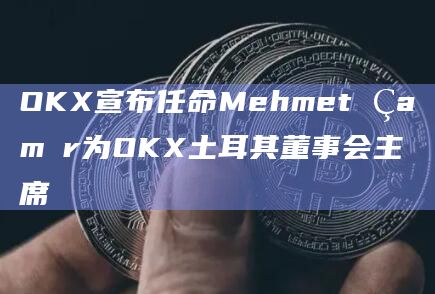 OKX宣布任命Mehmet Çamır为OKX土耳其董事会主席