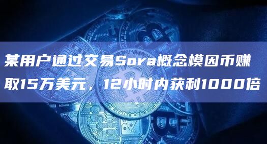 某用户通过交易Sora概念模因币赚取15万美元，12小时内获利1000倍