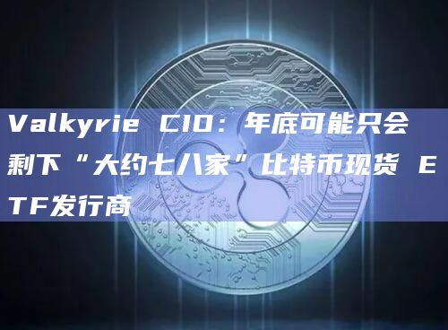 Valkyrie CIO：年底可能只会剩下“大约七八家”比特币现货 ETF发行商