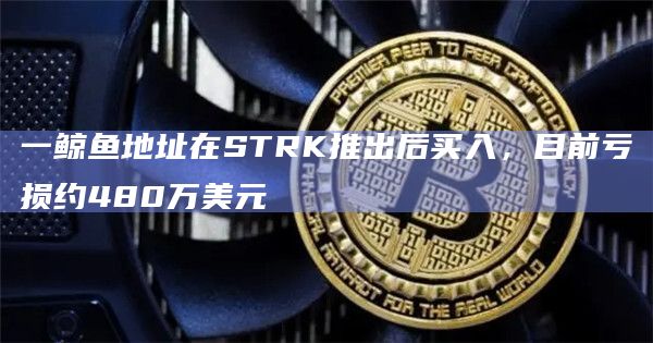 一鲸鱼地址在STRK推出后买入，目前亏损约480万美元