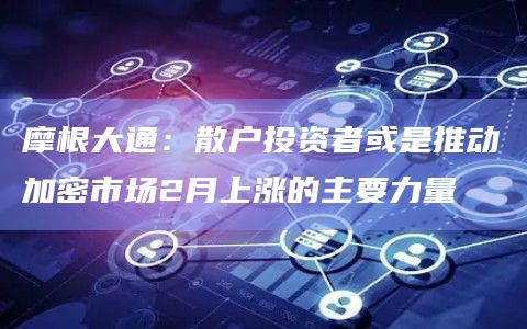 摩根大通:散户投资者或是推动加密市场2月上涨的主要力量