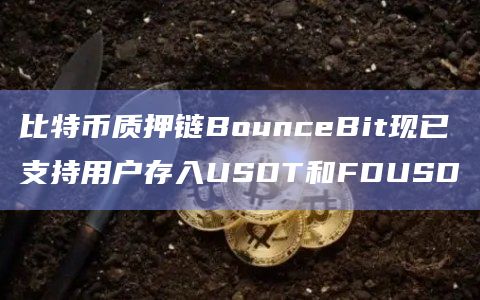 比特币质押链BounceBit现已支持用户存入USDT和FDUSD