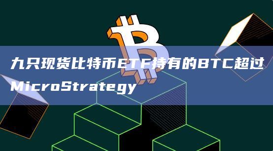 九只现货比特币ETF在推出的21天内已经购买216309枚比特币