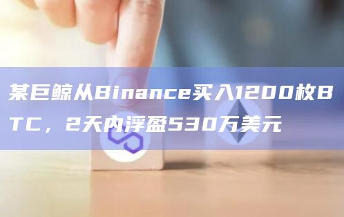 某巨鲸从Binance买入1200枚BTC，2天内浮盈530万美元
