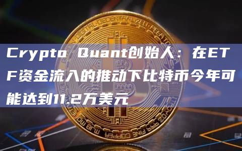 Crypto Quant创始人：在ETF资金流入的推动下比特币今年可能达到11.2万美元