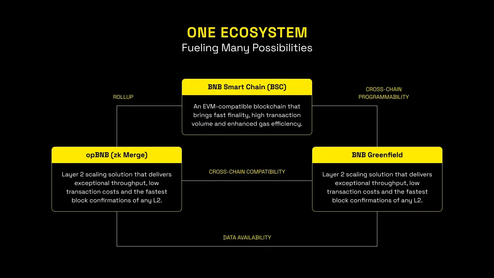 BNB Chain发布Web3蓝图:One BNB连接起BSC、opBNB和Greenfield
