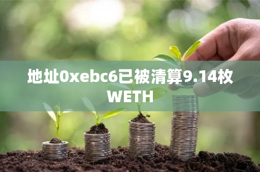 地址0xebc6已被清算9.14枚WETH