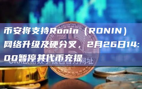 Ronin（RONIN）即将进行网络升级及硬分叉