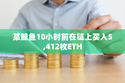 某鲸鱼10小时前在链上买入5,412枚ETH
