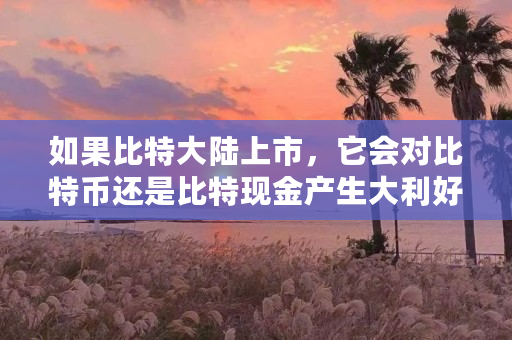 如果比特大陆上市,它会对比特币还是比特现金产生大利好,为什么(比特币乌龙指)