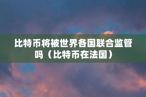 比特币将被世界各国联合监管吗(比特币在法国)